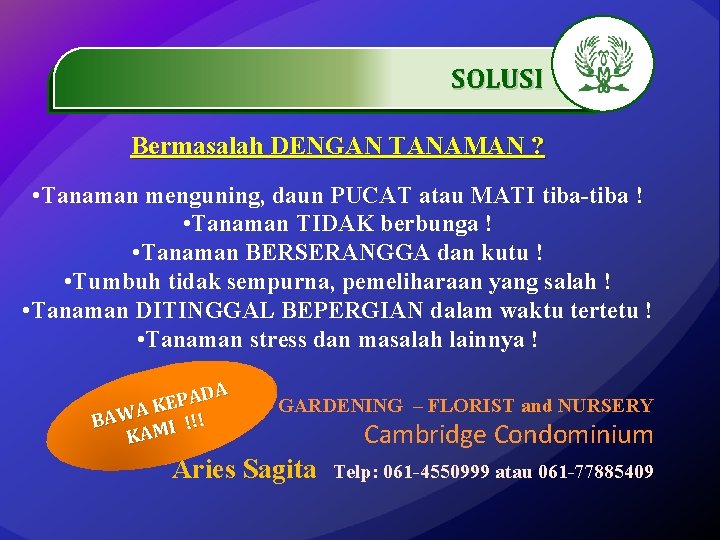 SOLUSI. …………… Bermasalah DENGAN TANAMAN ? • Tanaman menguning, daun PUCAT atau MATI tiba-tiba