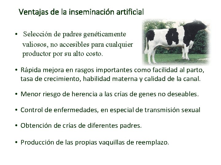 Ventajas de la inseminación artificial • Selección de padres genéticamente valiosos, no accesibles para