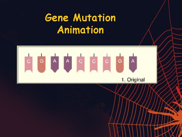 Gene Mutation Animation 