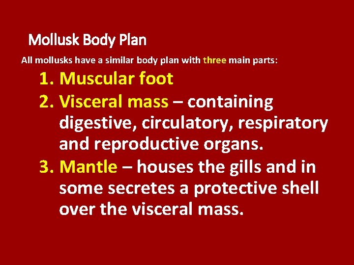 Mollusk Body Plan All mollusks have a similar body plan with three main parts: Mollusk Body Plan All mollusks have a similar body plan with three main parts: