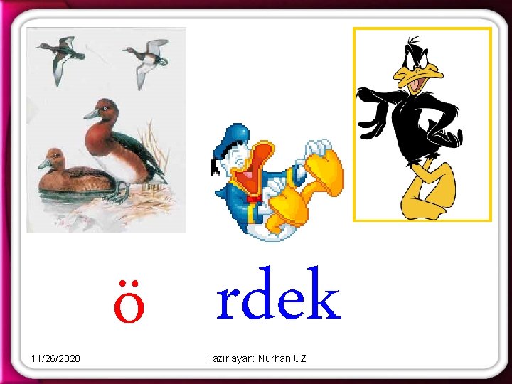 11/26/2020 ö rdek Hazırlayan: Nurhan UZ 