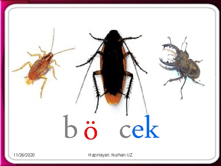 11/26/2020 b ö cek Hazırlayan: Nurhan UZ 