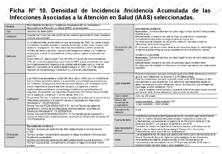 Ficha N° 10. Densidad de Incidencia /Incidencia Acumulada de las Infecciones Asociadas a la Ficha N° 10. Densidad de Incidencia /Incidencia Acumulada de las Infecciones Asociadas a la