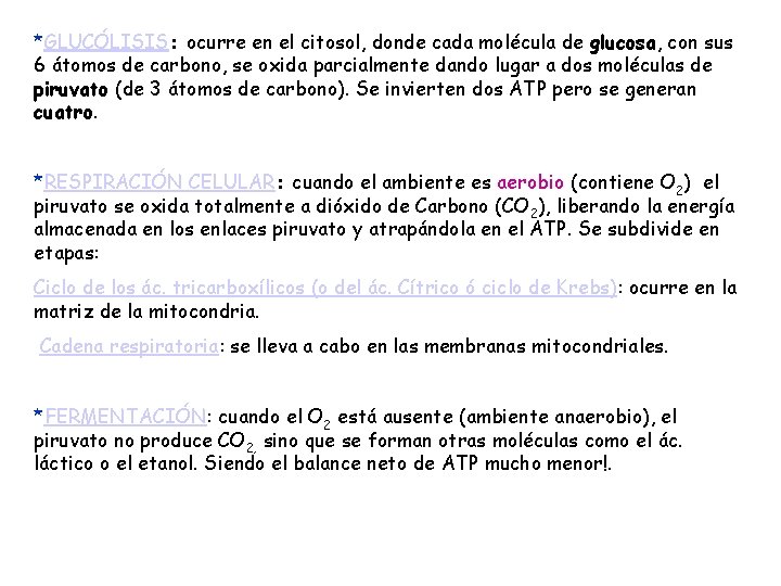 *GLUCÓLISIS: ocurre en el citosol, donde cada molécula de glucosa, con sus 6 átomos