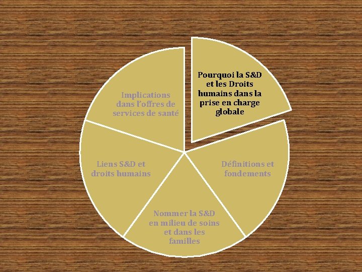 Implications dans l’offres de services de santé Pourquoi la S&D et les Droits humains