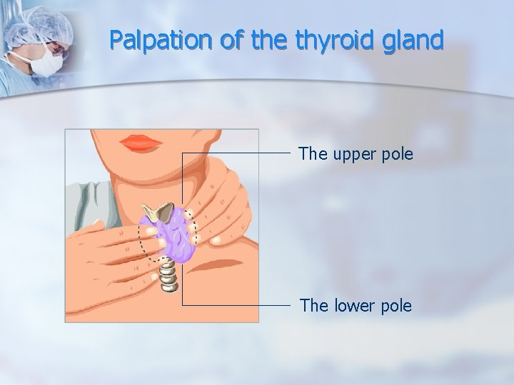 Palpation of the thyroid gland The upper pole The lower pole Palpation of the thyroid gland The upper pole The lower pole