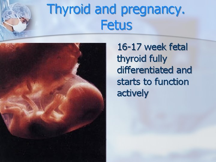 Thyroid and pregnancy. Fetus 16 -17 week fetal thyroid fully differentiated and starts to Thyroid and pregnancy. Fetus 16 -17 week fetal thyroid fully differentiated and starts to