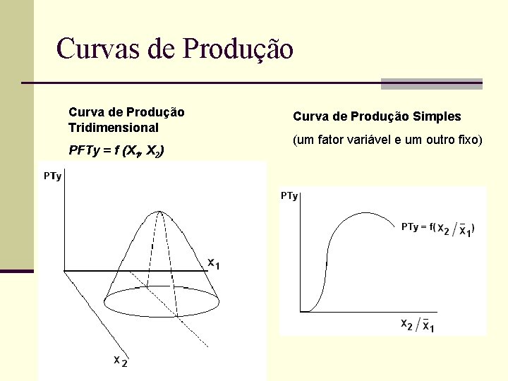 Curvas de Produção Curva de Produção Tridimensional PFTy = f (X 1, X 2)