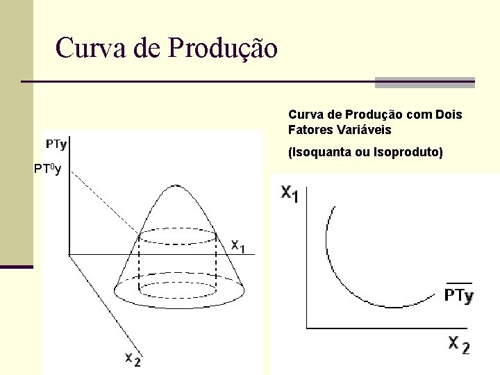 Curva de Produção com Dois Fatores Variáveis (Isoquanta ou Isoproduto) PT 0 y 