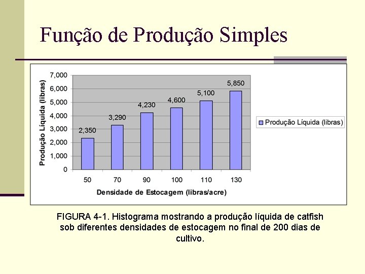 Função de Produção Simples FIGURA 4 -1. Histograma mostrando a produção líquida de catfish