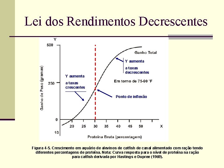 Lei dos Rendimentos Decrescentes Y aumenta a taxas decrescentes a taxas crescentes Ponto de