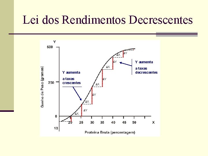 Lei dos Rendimentos Decrescentes X Y aumenta a taxas crescentes Y X X Y