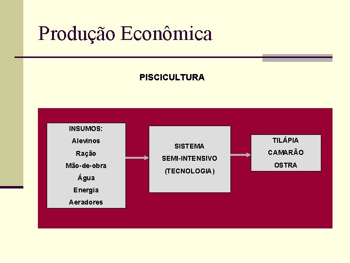 Produção Econômica PISCICULTURA INSUMOS: Alevinos Ração Mão-de-obra Água Energia Aeradores SISTEMA SEMI-INTENSIVO (TECNOLOGIA) TILÁPIA