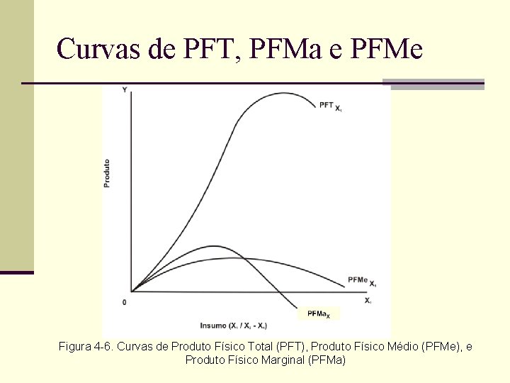 Curvas de PFT, PFMa e PFMe Figura 4 -6. Curvas de Produto Físico Total