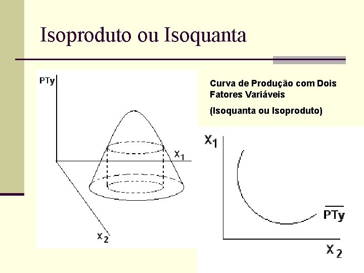 Isoproduto ou Isoquanta Curva de Produção com Dois Fatores Variáveis (Isoquanta ou Isoproduto) 