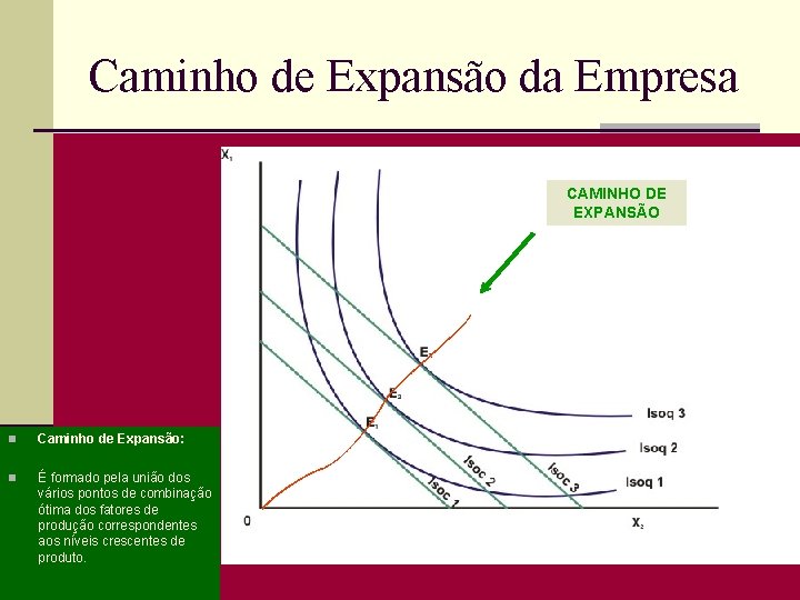 Caminho de Expansão da Empresa CAMINHO DE EXPANSÃO n Caminho de Expansão: n É