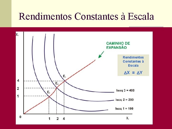 Rendimentos Constantes à Escala X = Y 