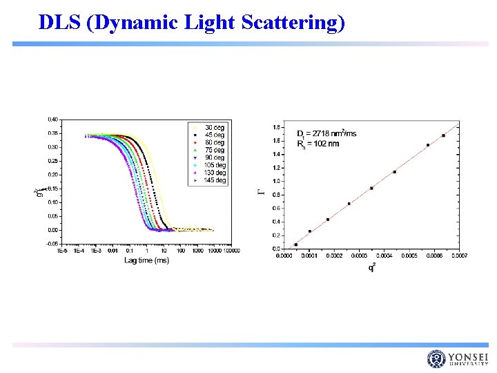 DLS (Dynamic Light Scattering) 