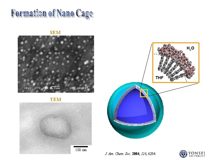 SEM H 2 O THF TEM 100 nm J. Am. Chem. Soc. 2004, 126,