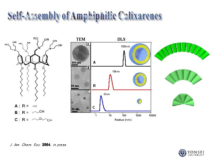 TEM DLS A 100 nm A 100 nm B 18 nm B 50 nm
