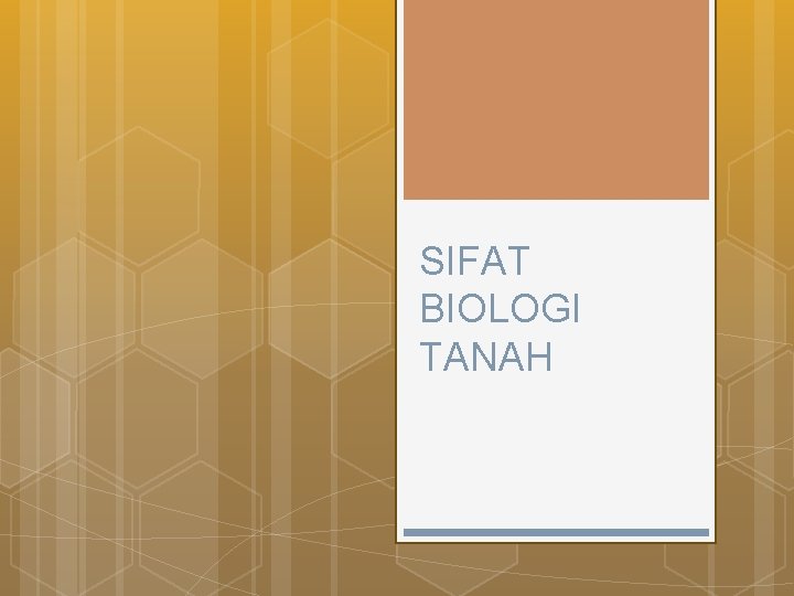 SIFAT BIOLOGI TANAH 