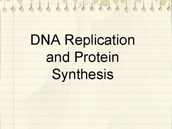 DNA Replication and Protein Synthesis 