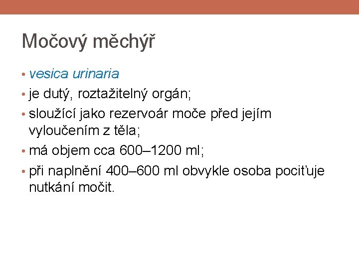 Močový měchýř • vesica urinaria • je dutý, roztažitelný orgán; • sloužící jako rezervoár