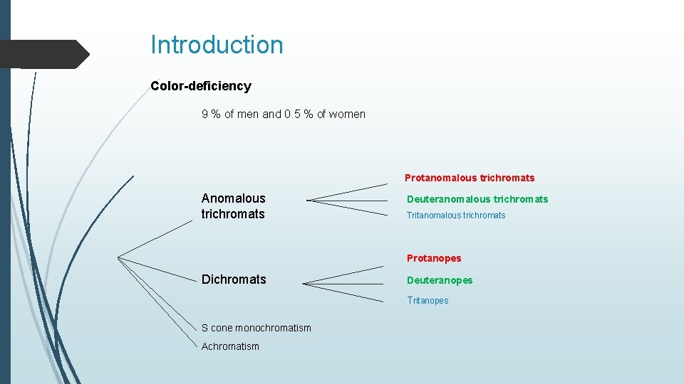 Introduction Color-deficiency 9 % of men and 0. 5 % of women Protanomalous trichromats