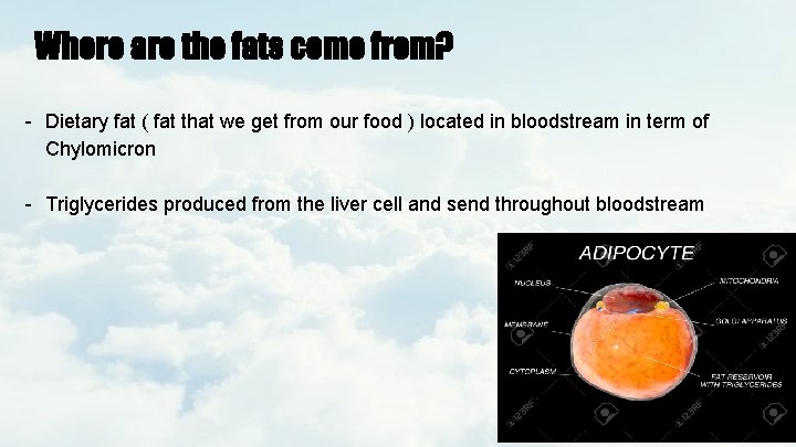 Where are the fats come from? - Dietary fat ( fat that we get