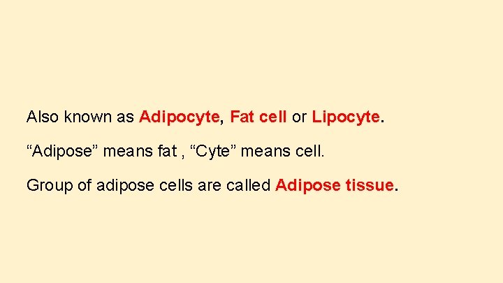 Also known as Adipocyte, Fat cell or Lipocyte. “Adipose” means fat , “Cyte” means