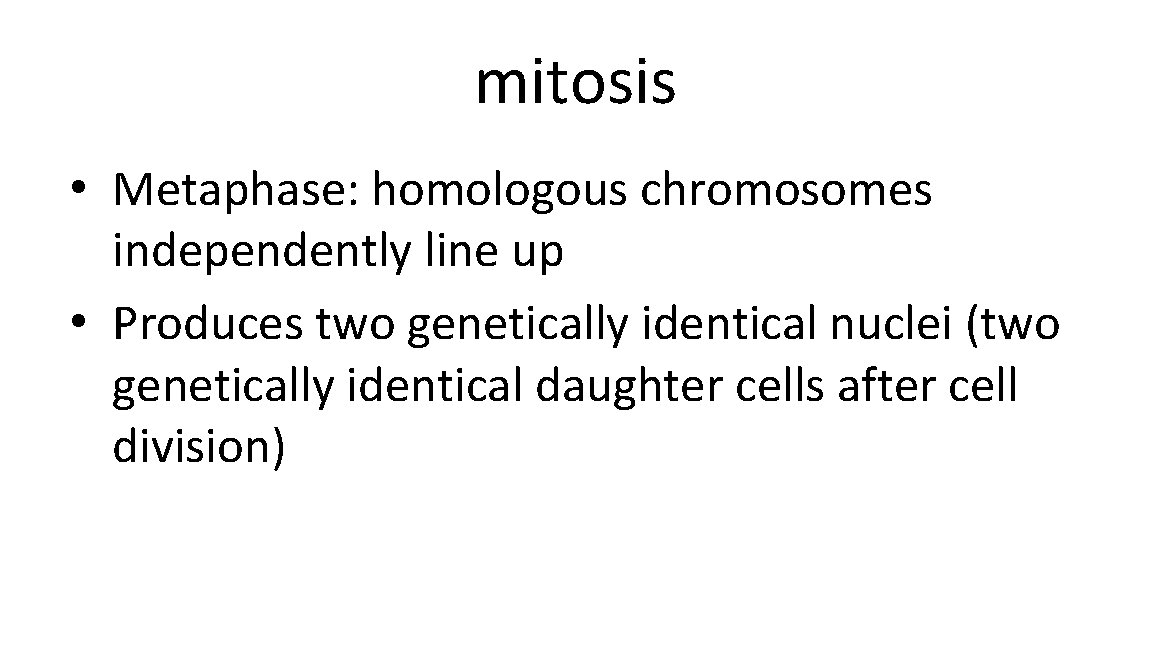 mitosis • Metaphase: homologous chromosomes independently line up • Produces two genetically identical nuclei