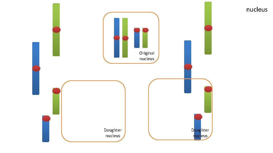nucleus Original nucleus Daughter nucleus 