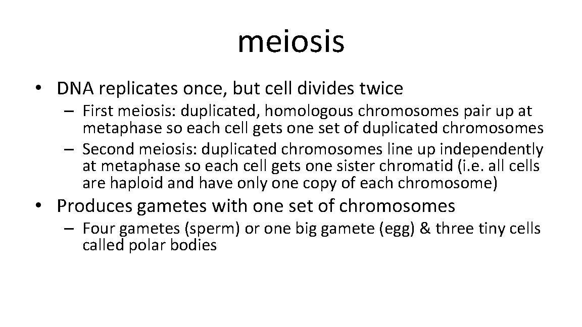 meiosis • DNA replicates once, but cell divides twice – First meiosis: duplicated, homologous