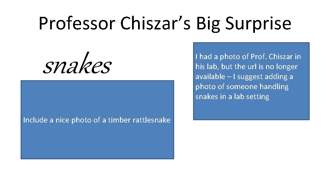 Professor Chiszar’s Big Surprise snakes Include a nice photo of a timber rattlesnake I