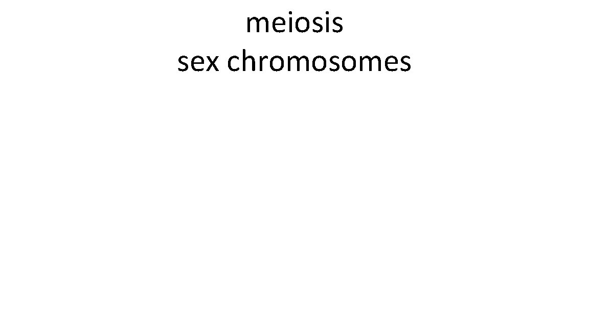 meiosis sex chromosomes 