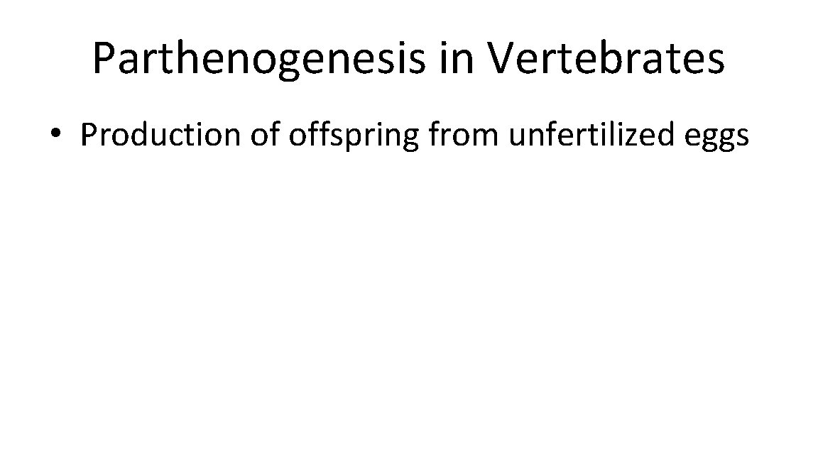 Parthenogenesis in Vertebrates • Production of offspring from unfertilized eggs 