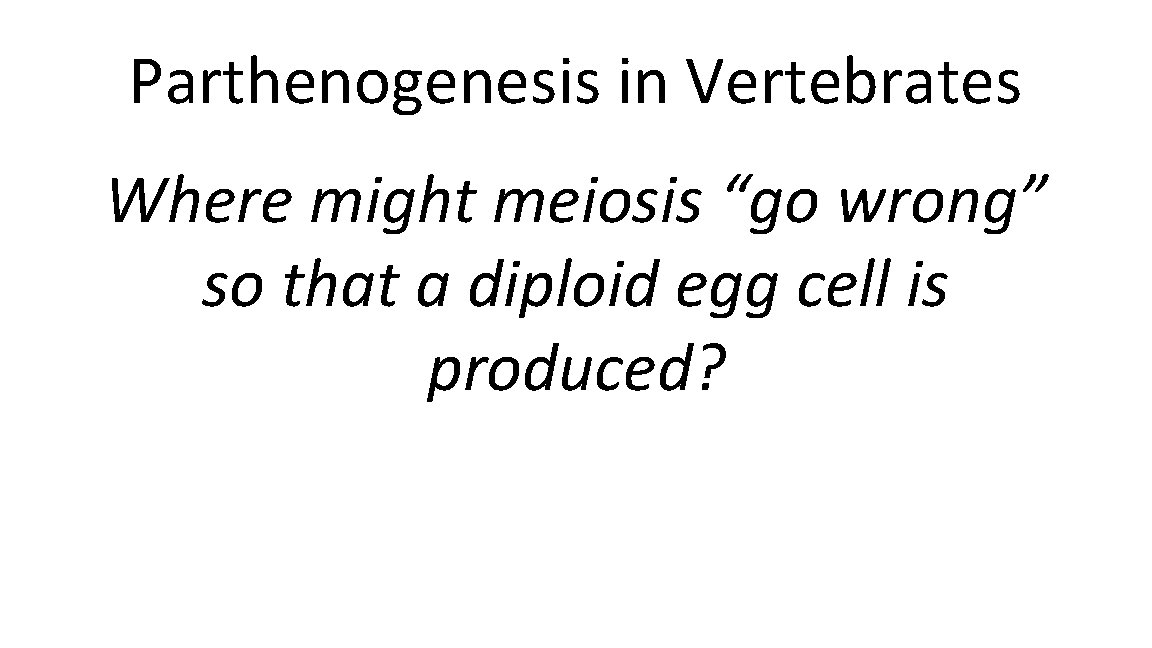 Parthenogenesis in Vertebrates Where might meiosis “go wrong” so that a diploid egg cell