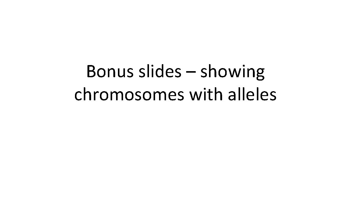 Bonus slides – showing chromosomes with alleles 