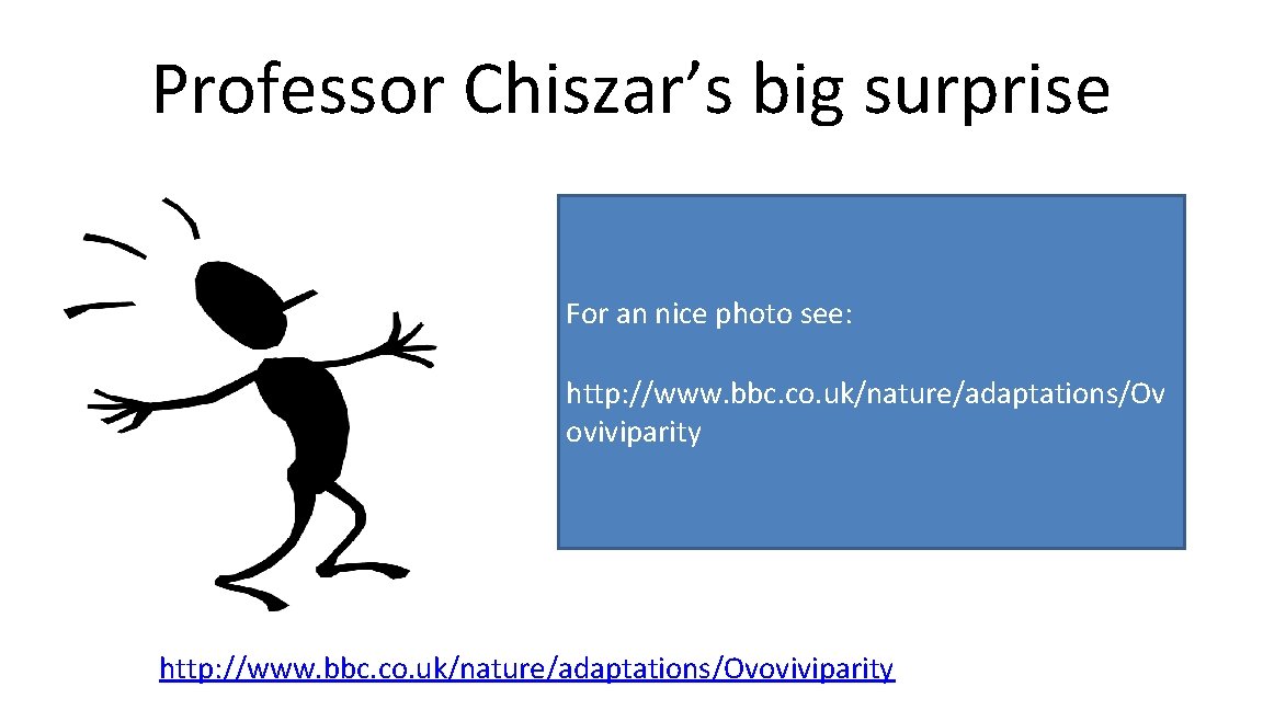 Professor Chiszar’s big surprise For an nice photo see: http: //www. bbc. co. uk/nature/adaptations/Ov
