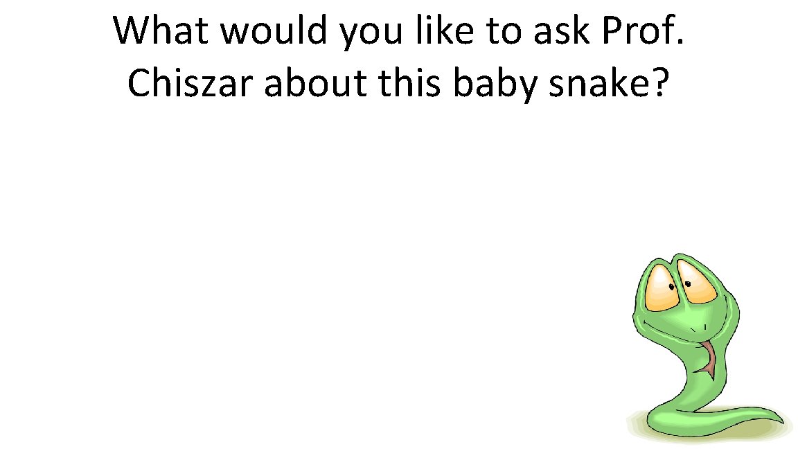 What would you like to ask Prof. Chiszar about this baby snake? 