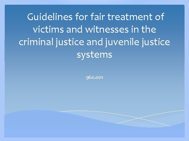  Guidelines for fair treatment of victims and witnesses in the criminal justice and