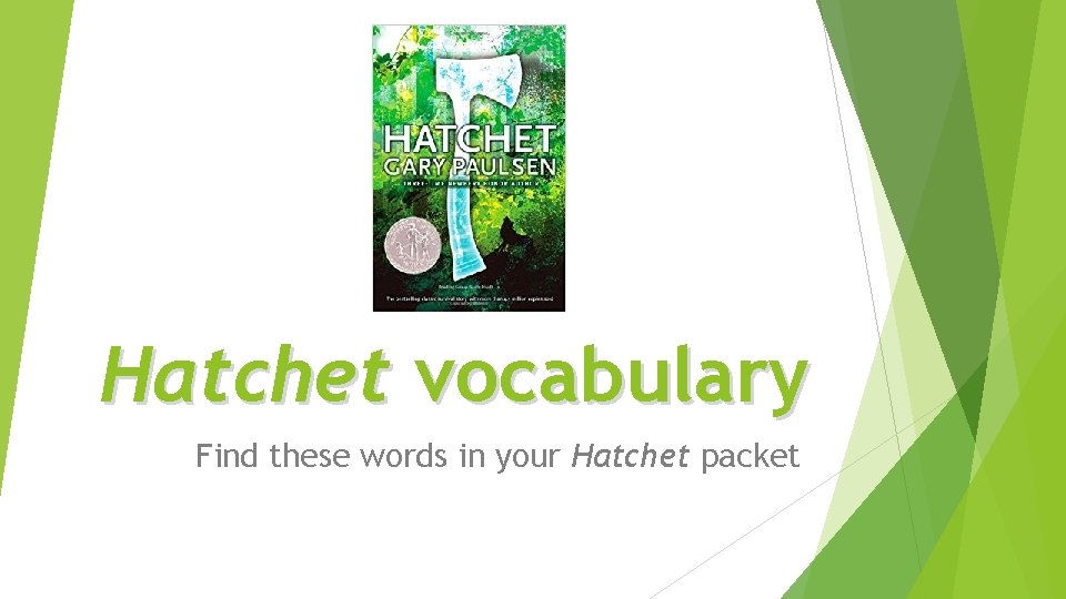 Hatchet vocabulary Find these words in your Hatchet packet 