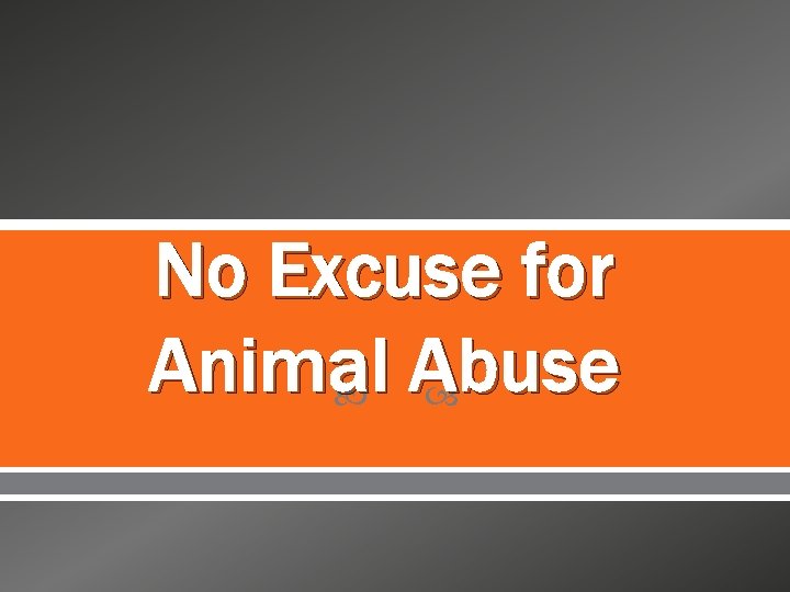 No Excuse for Animal Abuse 