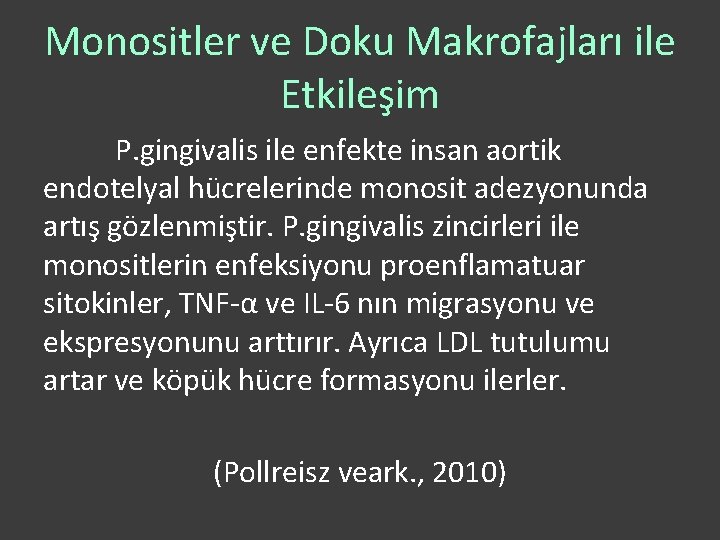 Monositler ve Doku Makrofajları ile Etkileşim P. gingivalis ile enfekte insan aortik endotelyal hücrelerinde