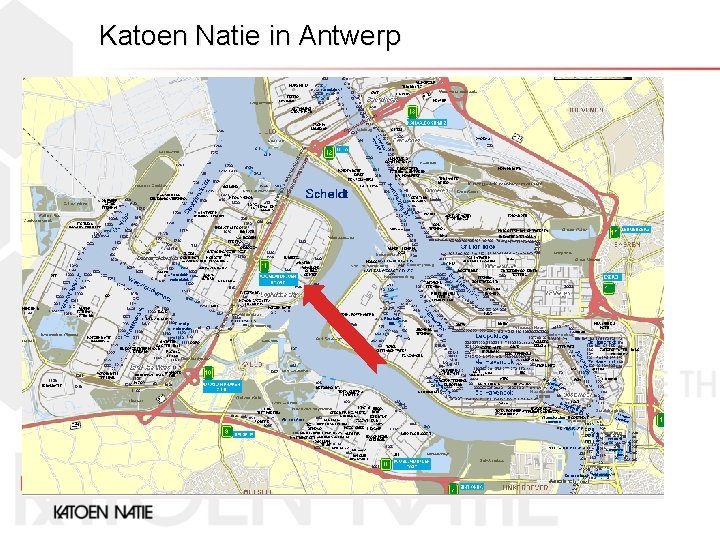 Katoen Natie in Antwerp 