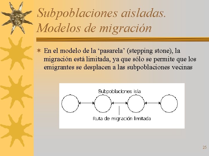 Subpoblaciones aisladas. Modelos de migración ¬ En el modelo de la ‘pasarela’ (stepping stone),