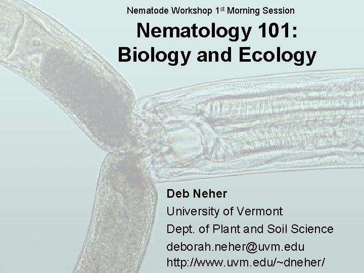 Nematode Workshop 1 st Morning Session Nematology 101: Biology and Ecology Deb Neher University