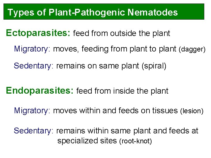 Types of Plant-Pathogenic Nematodes Ectoparasites: feed from outside the plant Migratory: moves, feeding from