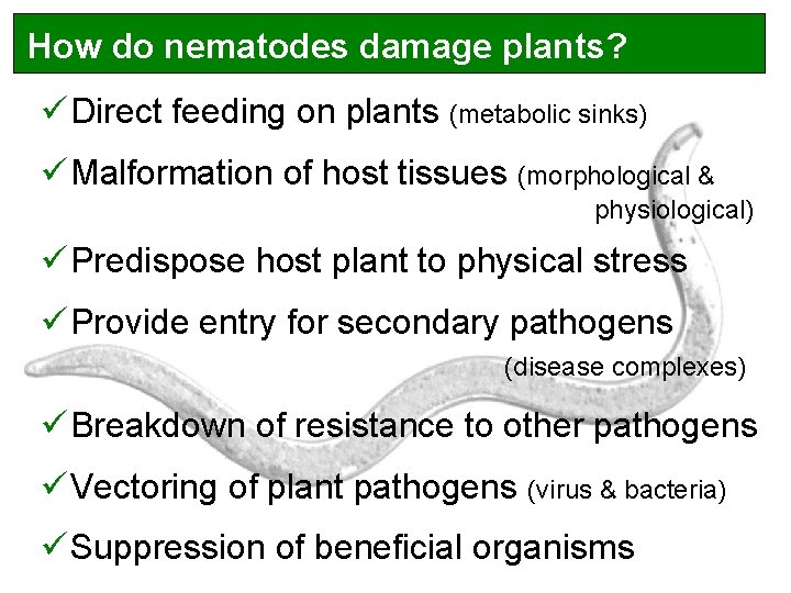 How do nematodes damage plants? ü Direct feeding on plants (metabolic sinks) ü Malformation