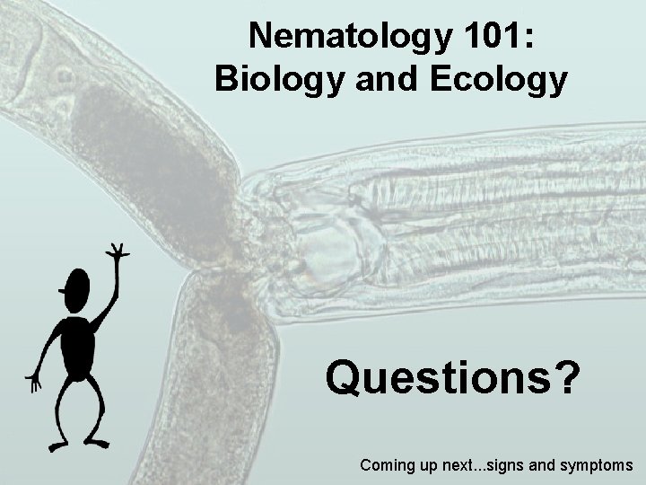 Nematology 101: Biology and Ecology Questions? Coming up next. . . signs and symptoms
